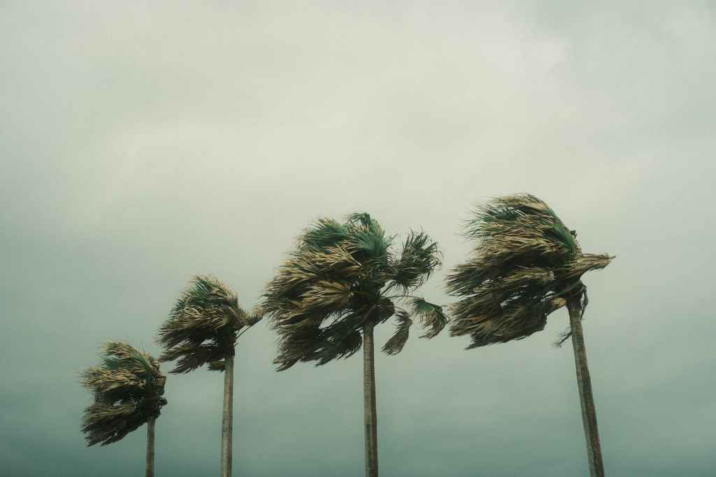 Hurricane Idalia